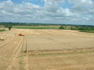 Pas d’inquiétude majeure sur la qualité des blés et des orges lors des moissons 2017
