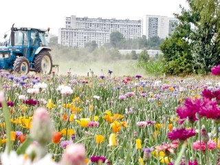 L’artificialisation des terres reprend, la FNSafer sonne l’alarme