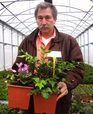 Les filières agricoles recrutent