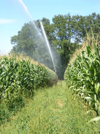 Une radiographie des usages de l’eau