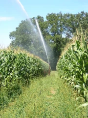 Une radiographie des usages de l’eau