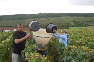 Quid de la prestation de service internationale pour les vendanges ?