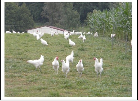 Cinq cas dans le Nord, suspicions dans le Sud-Ouest