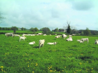 « Les agriculteurs doivent être fiers de leur métier »