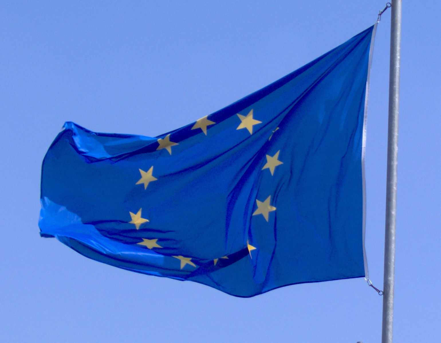 Les actualités au sein du Parlement européen : IED, NBT, restauration de la nature...