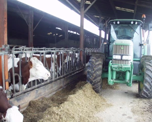 Lait : la guerre en Ukraine pourrait faire croître les coûts de production de 61 €/1.000 l