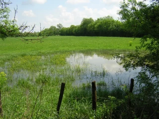 L’agriculture européenne en voie de décarbonation ?