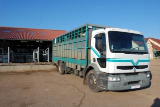 Bien transporter ses animaux vivants