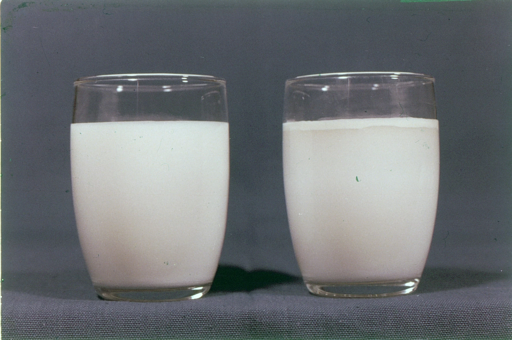 Étiquetage : le lait n’est pas végétal, rappellent les juges européens