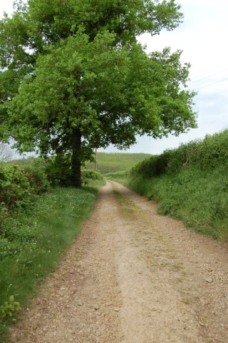 JURIDIQUE : tout savoir sur les chemins d’exploitations