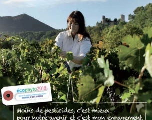 La baisse se confirme... sauf en Bio