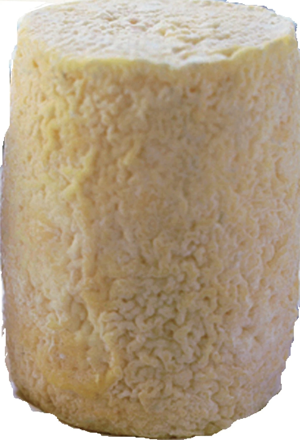 Filière caprine