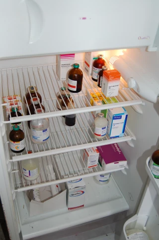 Antibiorésistance Baisse de la consommation et de l’exposition aux antibiotiques en filière animale