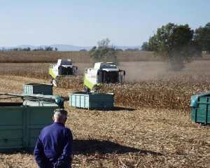 La récolte mondiale de blé 2017-2018 légèrement revue à la baisse (USDA)