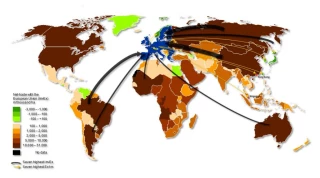 Les soutiens à l’agriculture des principaux pays producteurs agricoles convergent