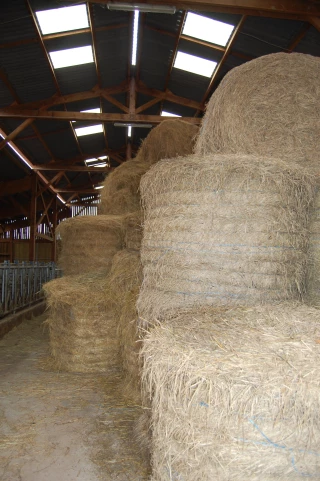Les députés adoptent la réforme de la fiscalité agricole en première lecture