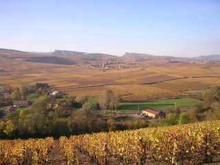 Mâcon élu vignoble de l'année par le guide 2018 de Bettane & Desseauve