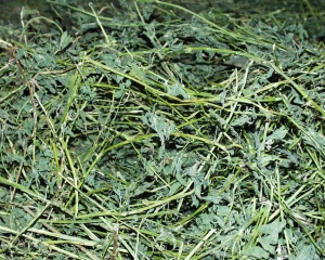 Des bilans carbone positifs