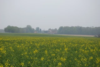 Cinq scénarios pour l’agriculture d’une « zone intermédiaire »
