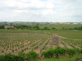 Un séminaire pour renforcer les liens entre viticulture et négoce