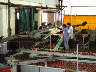 Fruits et légumes : Interfel scrute les arcanes du droit de la concurrence