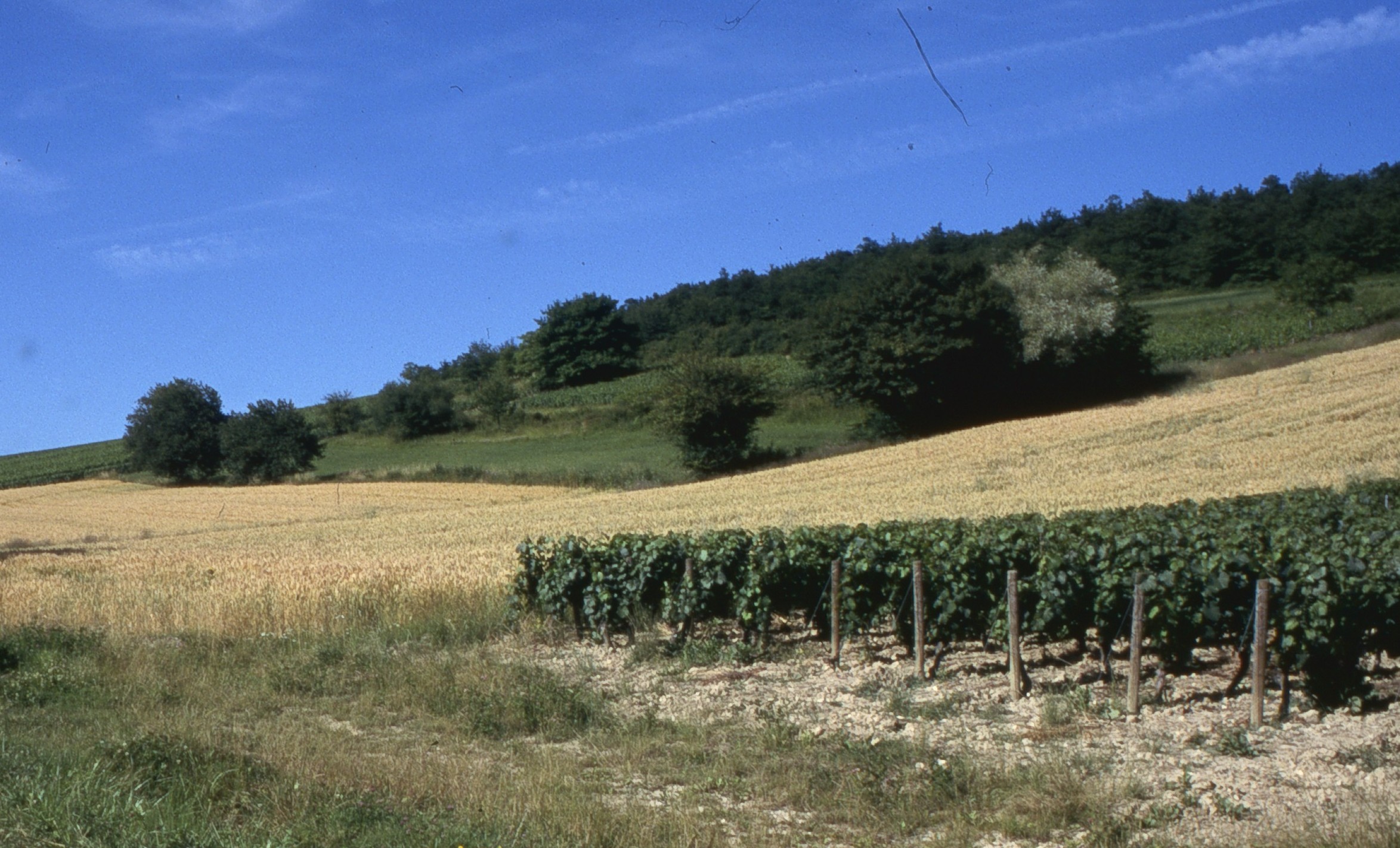 « Bio et HVE sont complémentaires »