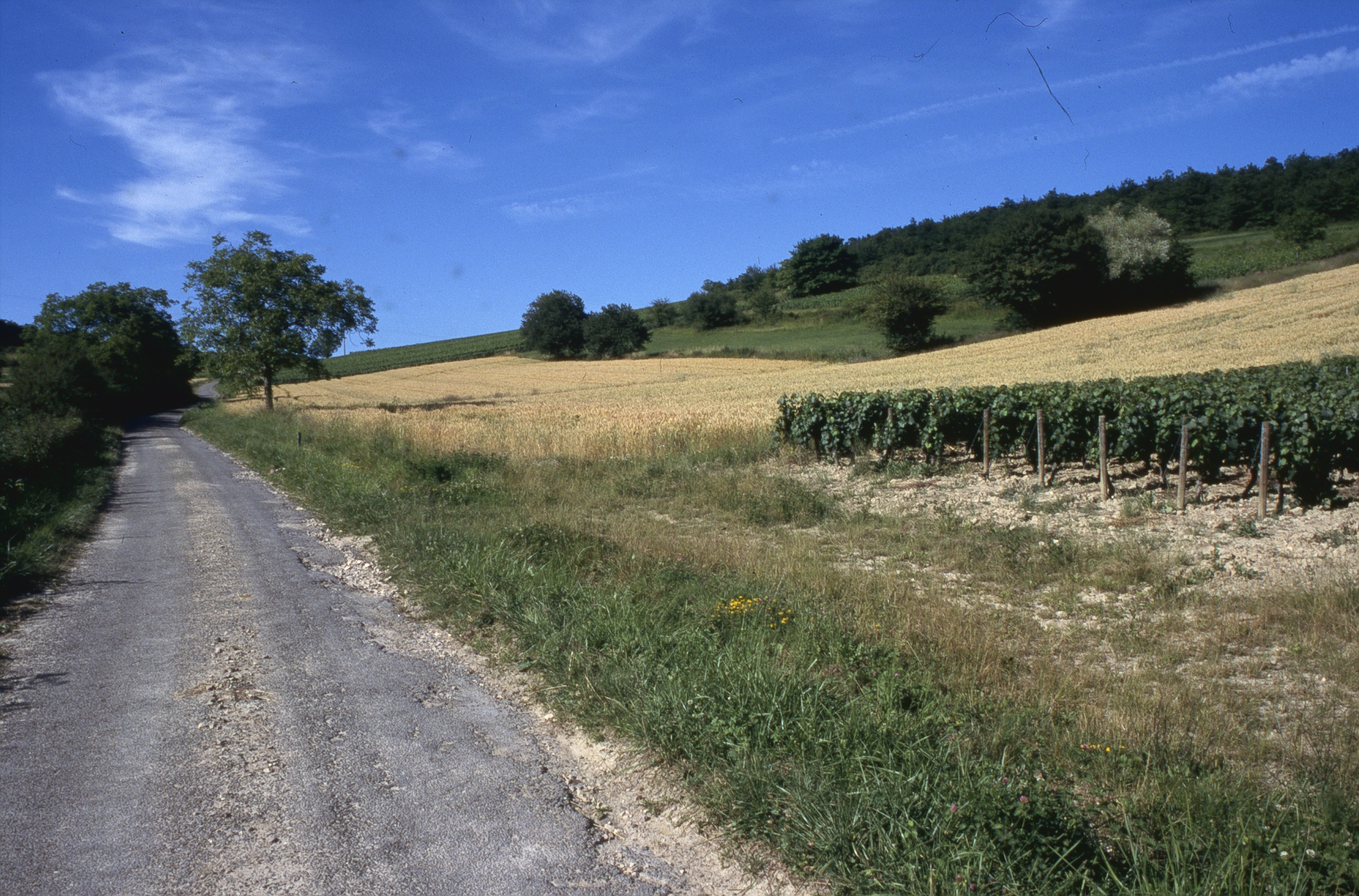 La Rue de Varenne précise les « axes » de la réforme