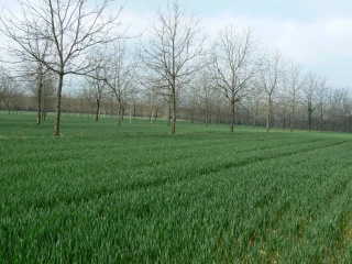 Le Parlement européen valide les grandes lignes de sa position
