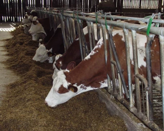 Congrès FNPL : des producteurs résolument tournés vers l’avenir
