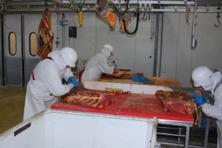 Tendance commerciale des marchés bovins viandes semaine 12