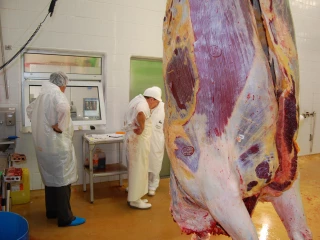 Filière bovins viande européenne, 6,45 M téc produites en 2019 dans les huit principaux états membres, en recul de 140 000 téc
