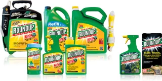 Glyphosate : Bruxelles justifie la ré-autorisation, un million de citoyens contre