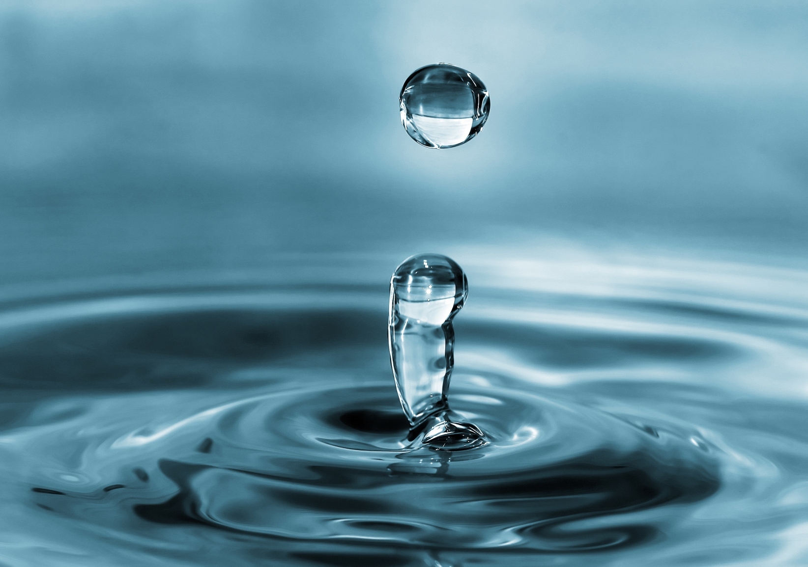 EXCLU WEB : Irrigation : le partage de l’eau en question