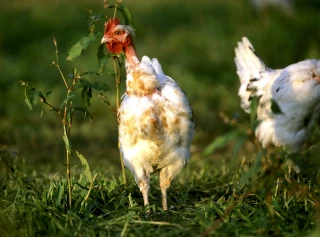 En première ligne face à la hausse des charges !