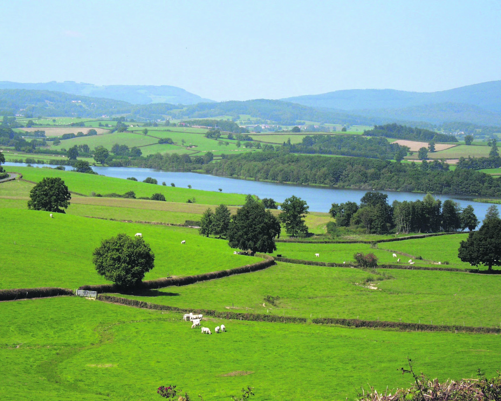 Farre en marche pour faire monter en gamme l’agriculture raisonnée