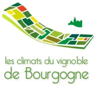 Les Climats de Bourgogne sont comme des discours lisibles dans les paysages viticoles