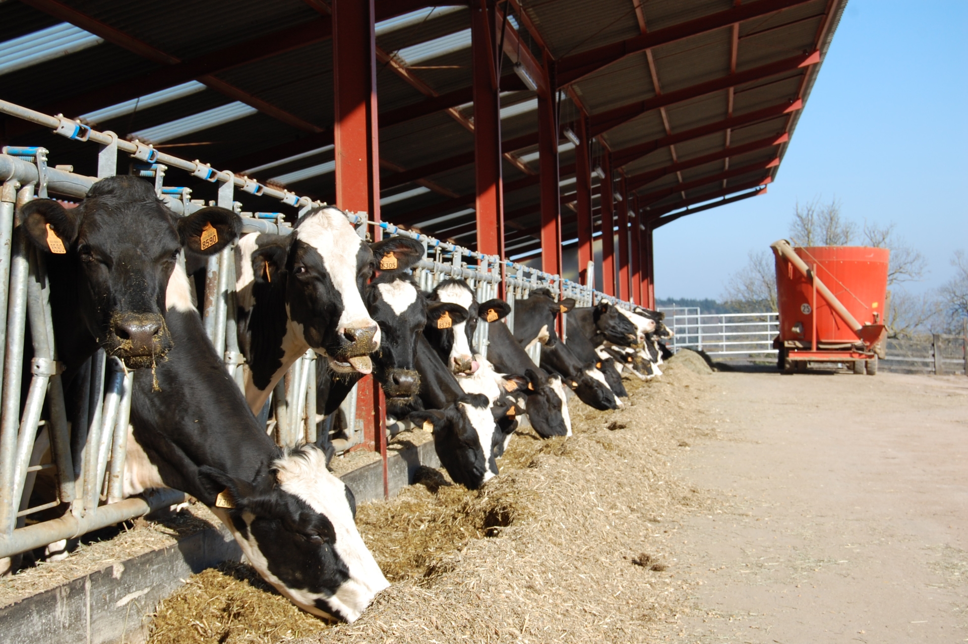 EXCLU WEB / L’inquiétude des fabricants d’aliments du bétail