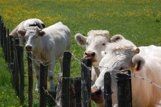 EXCLU WEB : Ne laissez pas un mauvais calcul ruiner l’ambition de l’affichage environnemental