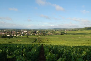 Les prix des denrées pour le calcul des fermages viticoles récolte 2016 au 11 novembre 2017 en Saône-et-Loire