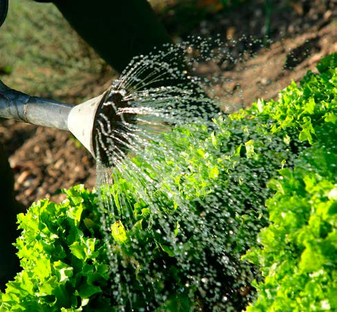 À la découverte de l’agroécologie dans le Beaujolais