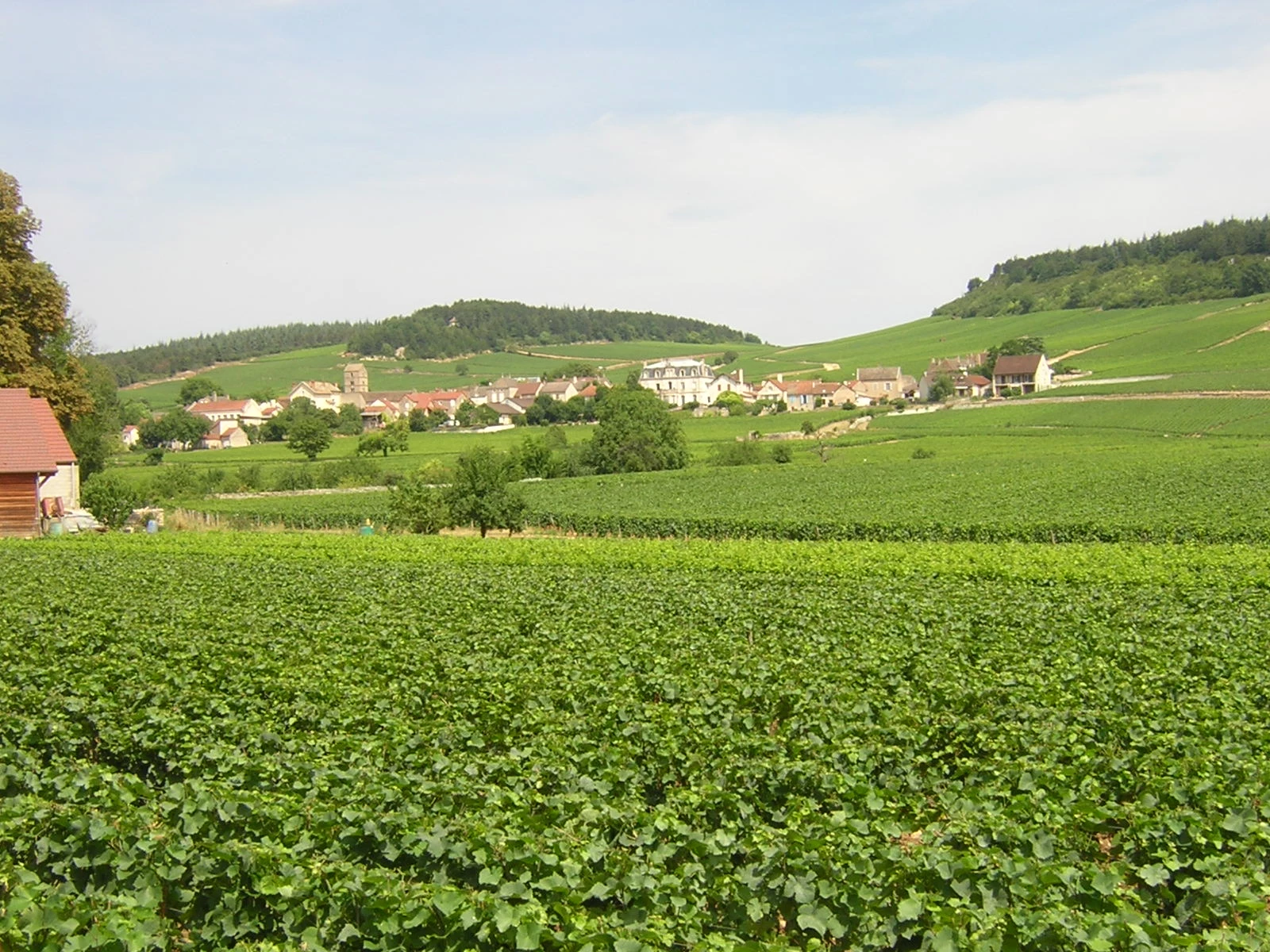 Le volet phyto du projet de loi Egalim retrouve des dispositions « vertes »