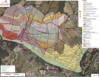 Un processus long et complexe pour créer et modifier une AOC viticole