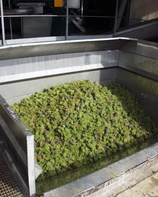 Vin : une faible vendange chasse l’autre