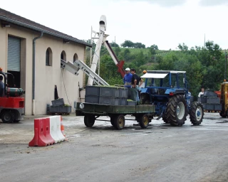 La Direccte (sur)veille et contrôle les conditions d'emploi et de travail des vendangeurs