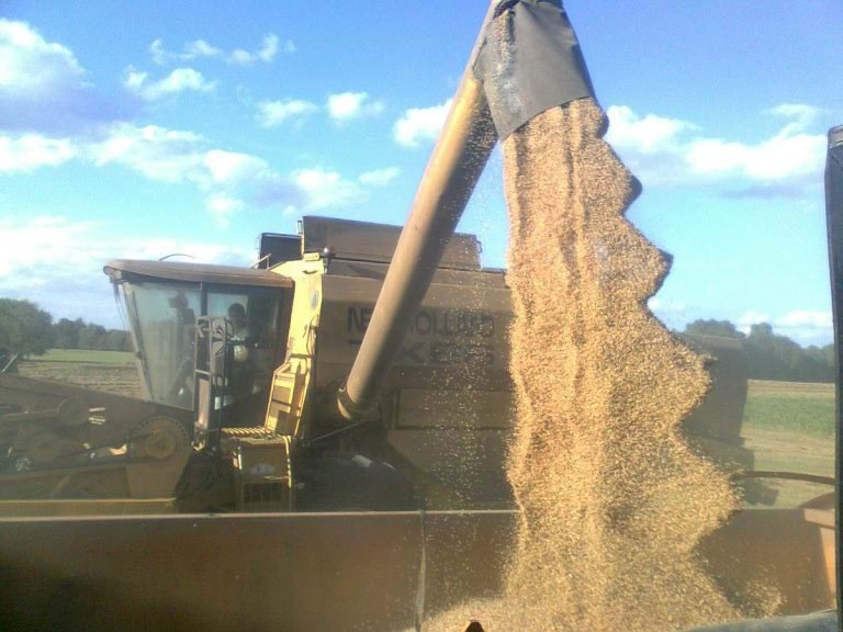 EXCLU WEB / Le retour des marchés des céréales sous pression