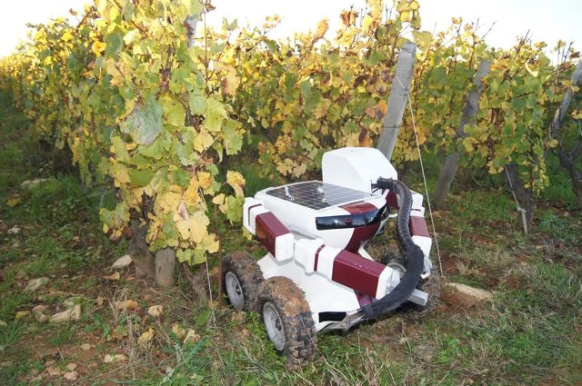 L’innovation omniprésente au VITeff d’Épernay