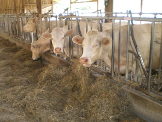 La souplesse des petits chantiers