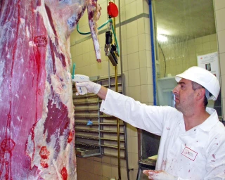 Analyse des marchés animaux et des tendances commerciales de la semaine 46-2018