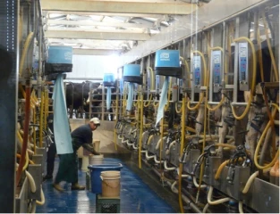 Des producteurs laitiers plombés par leurs investissements