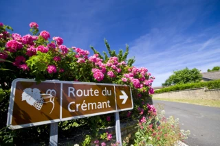Pour une croissance sereine plaide la Fédération nationale des producteurs et élaborateurs de crémants